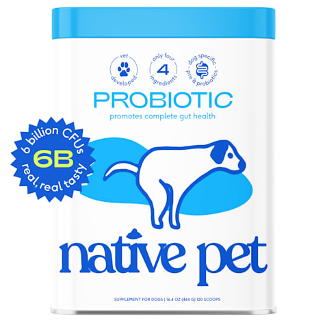 Native Pet Probiotic Powder Vet-Formulated Supplement for Digestive and Gut Health Support for Dogs