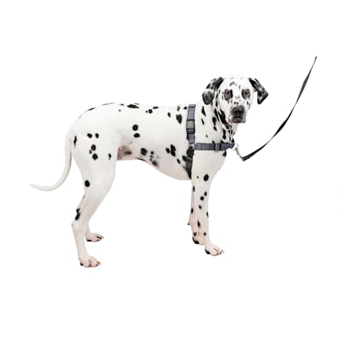 PetSafe Easy Walk Deluxe Dog Harness, Steel