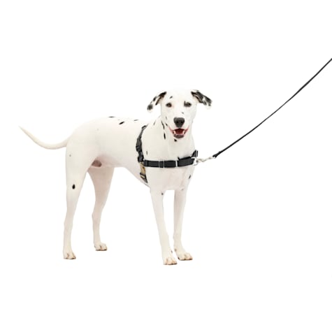 PetSafe Easy Walk Dog Harness