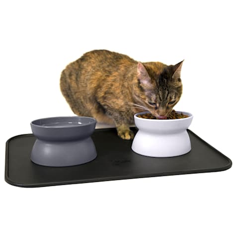 Kitty City Raised Cat Food Bowl with Mat