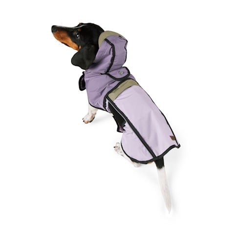 Reddy Purple and Sage Packable Jacket for Dogs