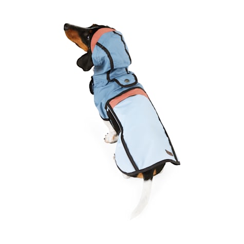 Reddy Blue and Red Packable Jacket for Dogs
