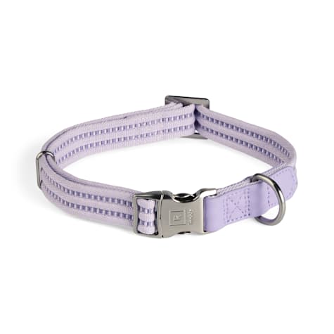 Reddy Webbed Dog Collar