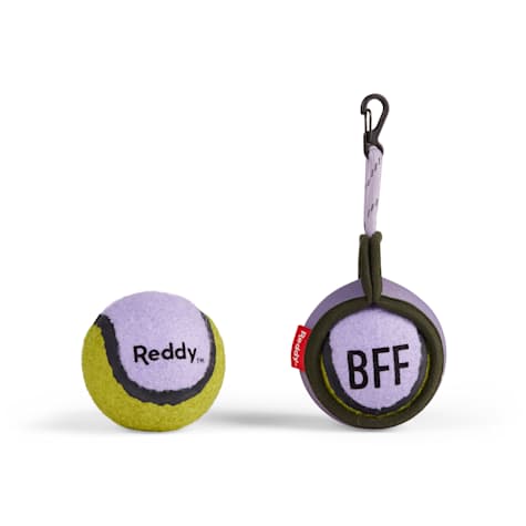 Reddy Lilac On-the Go Ball with Holder Dog Toy