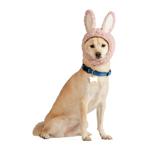 YOULY Easter Pink Bunny Hat for Dogs