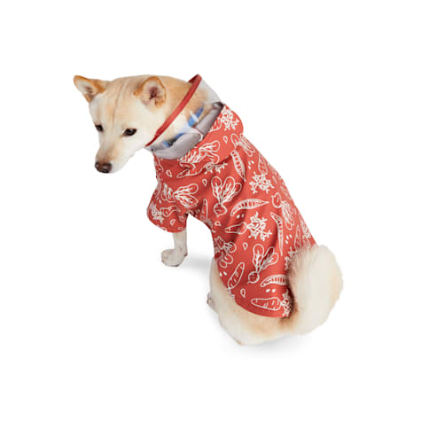 Started As A Bottle Raincoat for Dogs and Cats