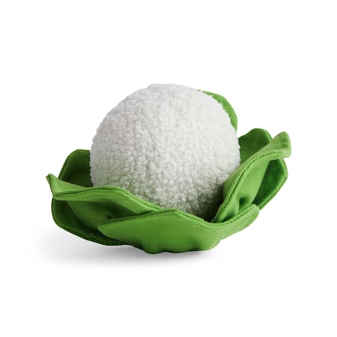 Started As A Bottle Plush Cauliflower Ball Dog Toy