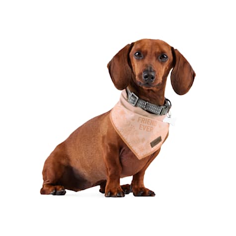 Reddy BFF Dog Bandana