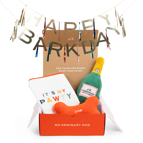 Juno Dog Co. Barkday Kit Birthday Party Dog Toy