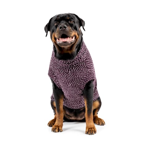 Canada Pooch Soho Dog Sweater