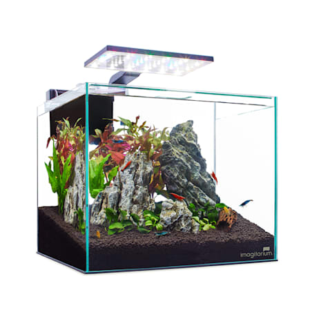 Imagitarium Glass Shrimp & Aquatic Plants Aquarium