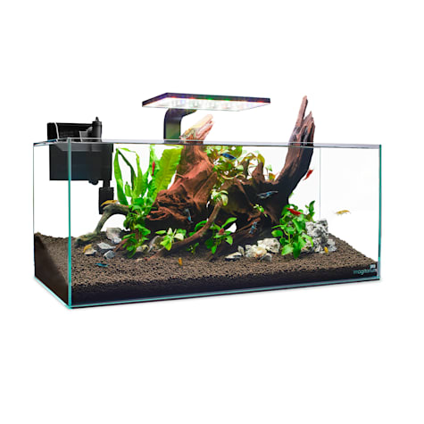Imagitarium Shallow Glass Shrimp & Aquatic Plants Aquarium