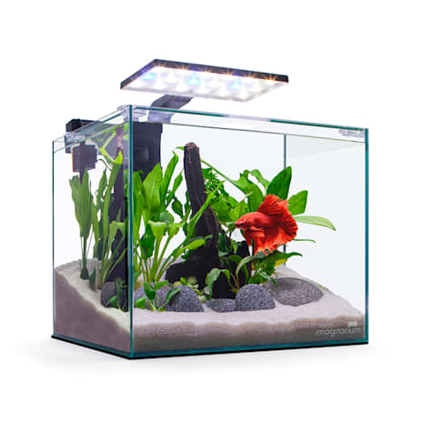 Imagitarium Glass Betta Aquarium Kit