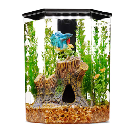 Imagitarium Plastic Hexagon Betta Aquarium