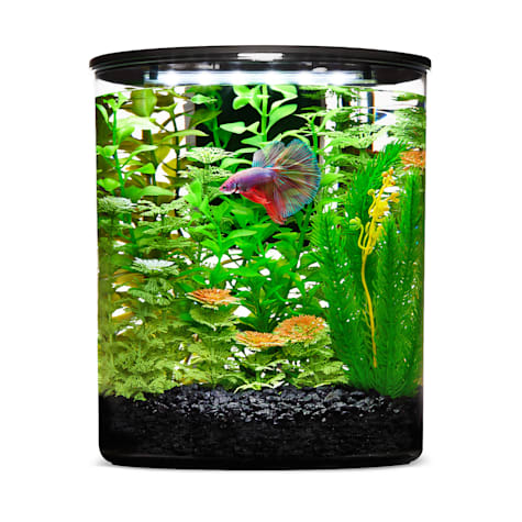Imagitarium Plastic Cylinder Betta Aquarium