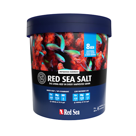 Red Sea Salt Bucket