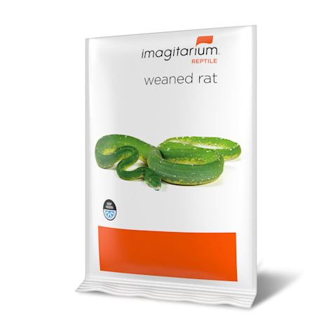Frozen Weaned Rat