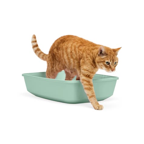 So Phresh Open Cat Litter Box