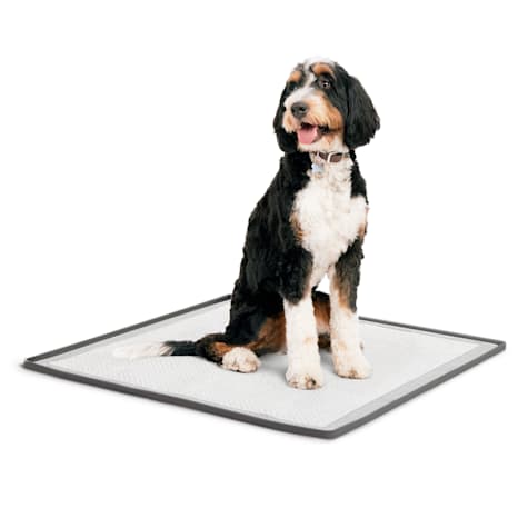 So Phresh Silicone Potty Pad Holder