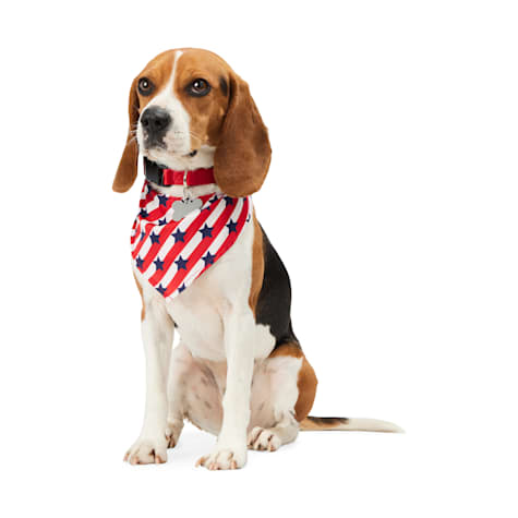 YOULY USA Dog Bandana