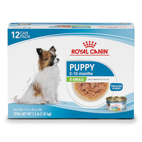 Royal Canin Size Health Nutrition X-Small Puppy Thin Slices in Gravy Wet Dog Food