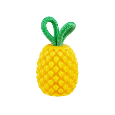 Outward Hound Plant Dog Pineapple Dental Chew Toy and Interactive Treat Stuffer Dog Toys