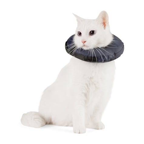 Well & Good Soft-Filled Recovery Kitten Collar