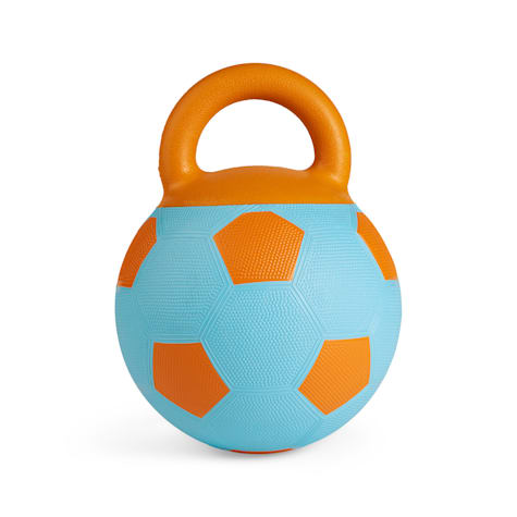 Leaps & Bounds Blue Soccer Ball Dog Toy with Handle