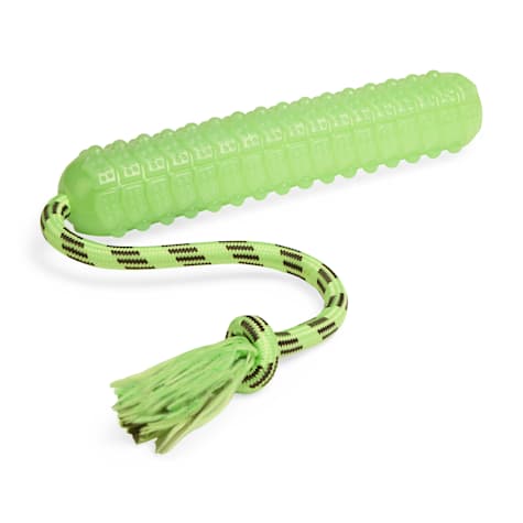 Leaps & Bounds Glow Bumper Dog Toy