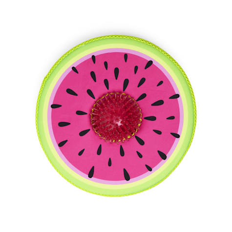 Leaps & Bounds Pink 2-in-1 Flyer Dog Toy