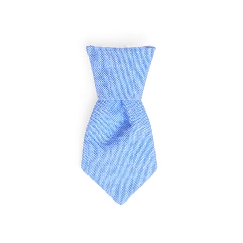 YOULY Slide-On Bow and Tie Collar Accessory for Cats