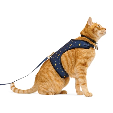 YOULY Star and Moon Full Cat Harness
