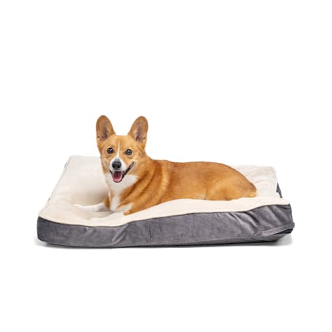 EveryYay Essentials Lounger Dog Bed