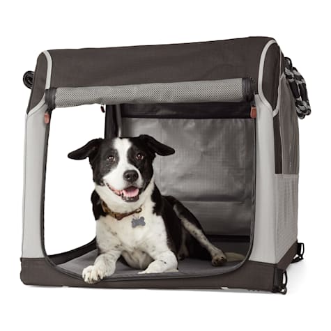 Reddy Foldable Travel Crate for Pets