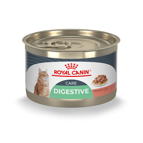 Royal Canin Feline Care Nutrition Digestive Care Thin Slices in Gravy Wet Cat Food