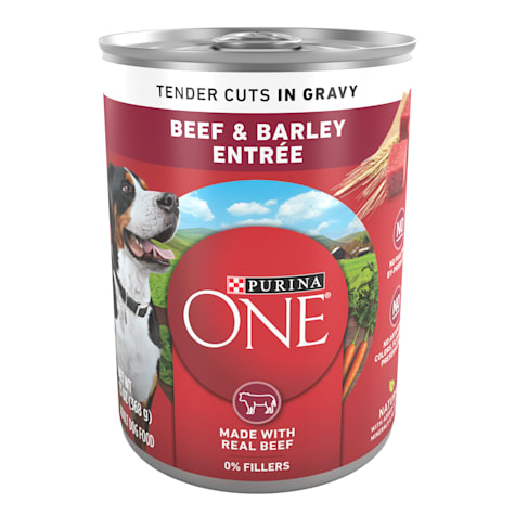 Purina ONE Tender Cuts in Gravy Beef and Barley Entree in Wet Dog Food Gravy