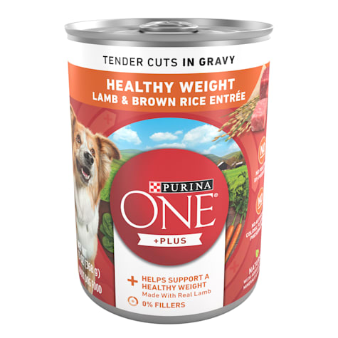 Purina ONE Plus Tender Cuts in Gravy Healthy Weight Lamb and Brown Rice Entree in Wet Dog Food