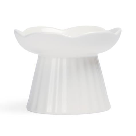 EveryYay Elevated Floral Ceramic Cat Bowl