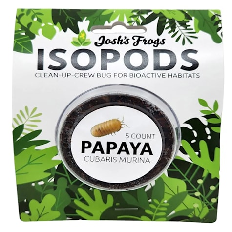 Assorted Isopod Culture
