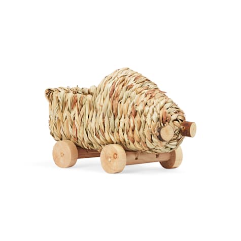 EveryYay Grass Car for Small Animals