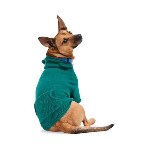 YOULY Teddy Sweater for Dogs