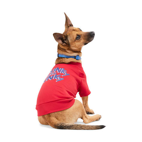 YOULY Chunky & Hunky Crewneck Sweater for Dogs