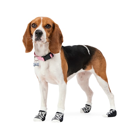 YOULY Lace-Up Sock for Dogs
