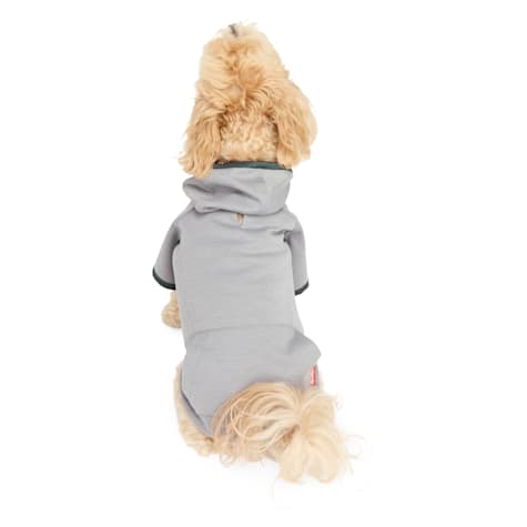 Reddy Soothing Hoodie for Dogs