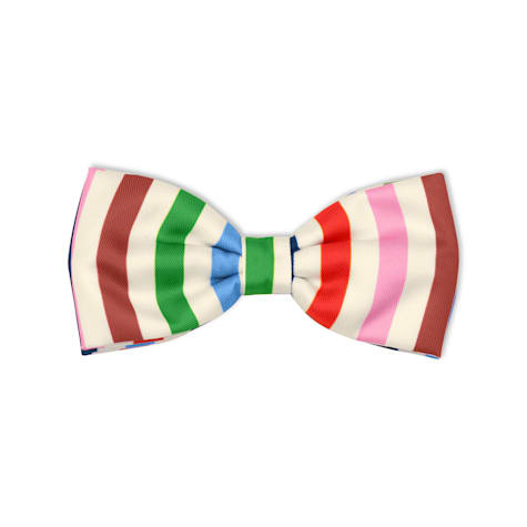 kate spade new york Adventure Stripe Bow Tie for Dogs