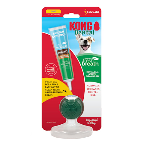 TropiClean Fresh Breath Enticers Peanut Butter & Honey Dental Ball Oral Care Kit for Small Dogs