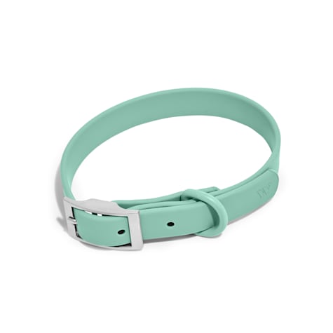 Wild One Seafoam Dog Collar