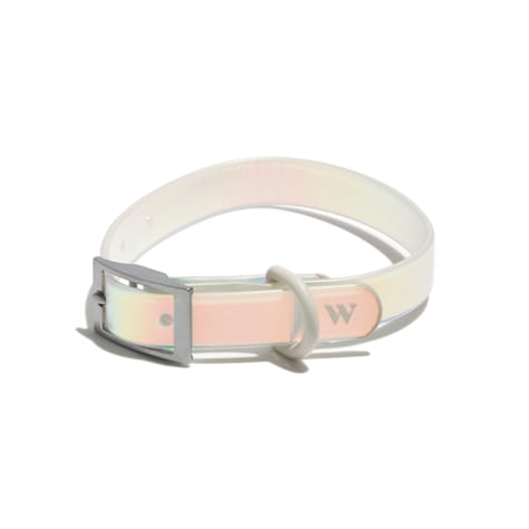 Wild One Holographic Dog Collar