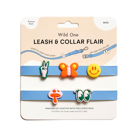 Wild One Leash and Collar Flair in Groovy
