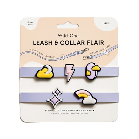 Wild One Leash and Collar Flair in Dream